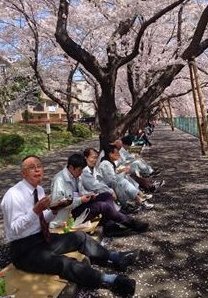 お花見