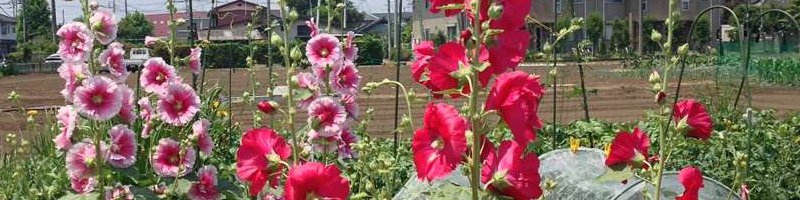 小川町
