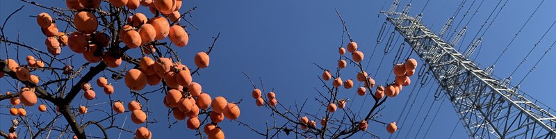 小川町
