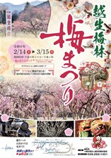 梅まつり